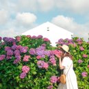 안성리-6 이미지