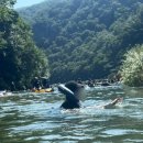 잣나무산장 이미지