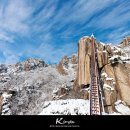 대둔산농장 이미지