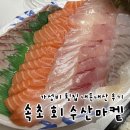 속초관광수산시장(2층 A동) | 속초 횟집 추천｜속초 회 수산마켙 내돈내산 후기 (회·해산물·물회 맛집)