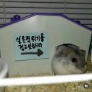 수능 전날 선택과목 자유 전직