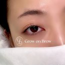 그로우속눈썹 이미지