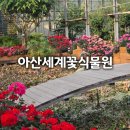 아산만로 | [충남] 아산 세계꽃식물원_아산식물원 아산가볼만한곳 천안아산 꽃구경