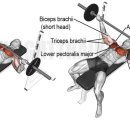 PT훈련소 이미지