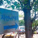 신천자연 낚시터 이미지