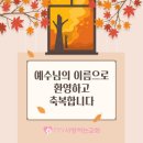 장선배기길 이미지
