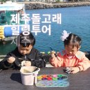 UR(서귀포시)-[동일하모로]-하-11 | 아이와 이색 체험 제주 돌고래 힐링투어 요트 액티비티