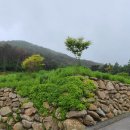 청정해수탕 이미지