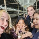 친환경부여농장 이미지