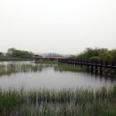 갈대습지공원 이미지