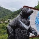 섬진강제첩국 이미지