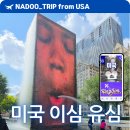 시카고 | 미국 여행 경비 아끼는 꿀팁, 링심 이심 유심 시카고 이용 후기