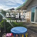 호도귤정원 이미지