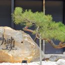 아리랑한옥 이미지