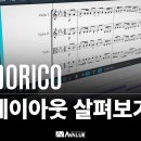 레이아웃 이미지