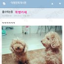 설렘 이미지