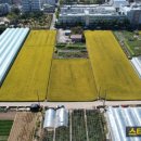 하대동406 이미지