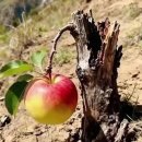 우리 동네 이야기 18 이미지