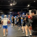 진정식복싱클럽 이미지