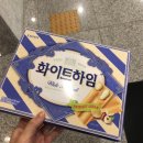 2019년 4월 (1)