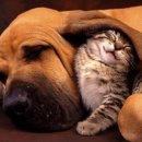 세명당약국 이미지