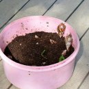 한터농장 이미지