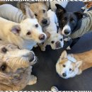 굿데이호텔 이미지