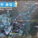 삼다수숲길 2코스 이미지