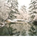 정선군 버들고개 이미지