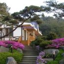 쉼이있는자유 이미지