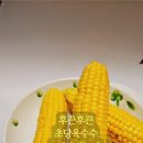 명안농장 네이버블로그