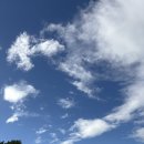 영광군청 산림공원과 앞 | [문화] 서울시공공서비스 예약 산림여가 숲해설 이용후기