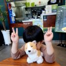 프랭크버거 동해쇄운점 이미지