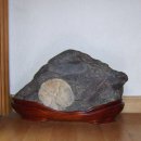 늘푸른동명 이미지