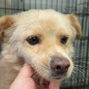 회성동225 이미지