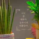 부산대젊음의거리 이미지