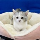 작고 소중해 이미지