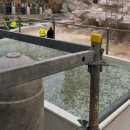 봉곡광장 분수 및  | 🇮🇹 로마의 늦가을 기록🍁🤎 (베네치아 광장, 트레비 분수, 뉴 피아제타 식당, 지올리띠 젤라또)