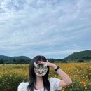 그루동물병원 | 제주도 3박 4일 여행 넷째 날 / 2025. 09. 30 (화) / 종달리 마을, 종달여행, 제주모멍, 바다는안보여요...