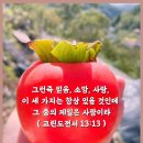 가을처럼 아름다운 당신을 사랑합니다 / 이채 이미지