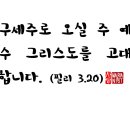 필리필리 이미지