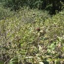 청림경로당 이미지