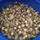 소금강여울목 이미지