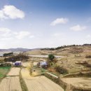 서천 봉선리 유적 이미지