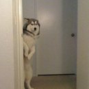 시대장모텔 이미지