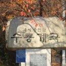 수룡농장 이미지