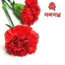 모정 이미지