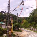 황골온누리약국 이미지