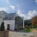 앞들서3로 느티나무길 | 양산느티나무카페, 지나칠 때마다 궁금했던 그곳 드디어 가봄