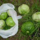 과림농장 이미지